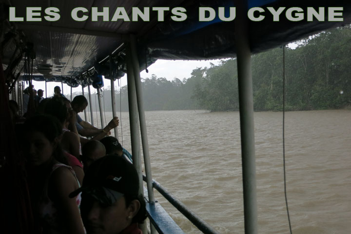 Photo couverture:  O.Sillig 2013, remonte de l'amazone