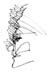 030222_Caveau_1_stylo_3