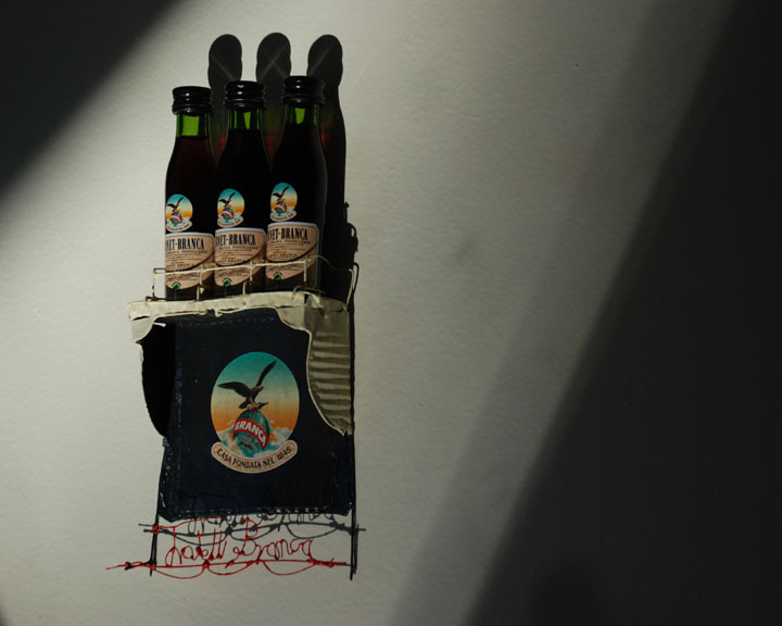 26_Ferne_Branca