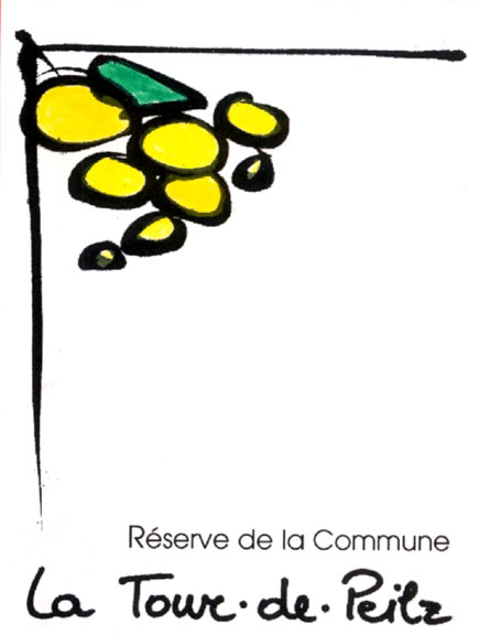 1990_deco_eti_vin_la tour de pelz_concours_maquette