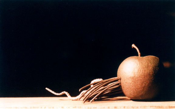 1998_deco_scu_a tous crins_concours