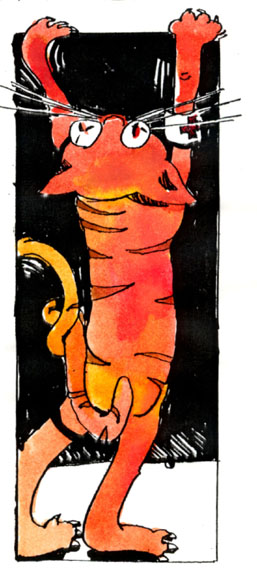 1983_art_chat de castel del piano_ssel