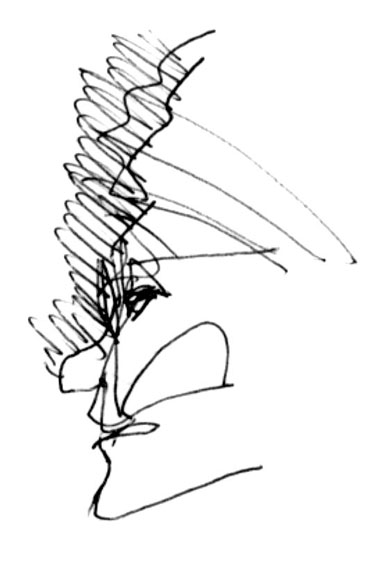 030222_Caveau_1_stylo_3